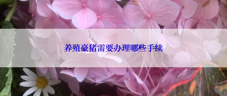 养殖豪猪需要办理哪些手续