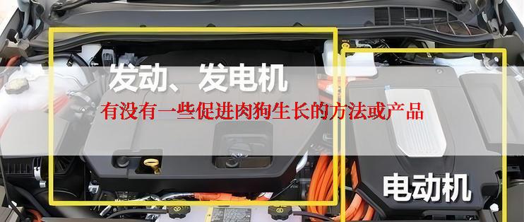 有没有一些促进肉狗生长的方法或产品
