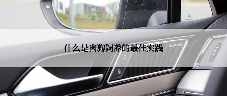 什么是肉狗饲养的最佳实践