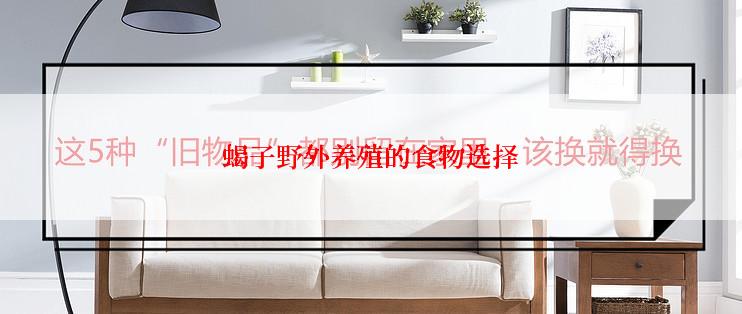 蝎子野外养殖的食物选择