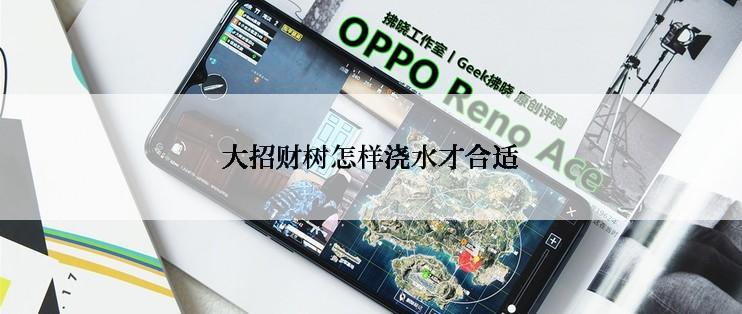 大招财树怎样浇水才合适