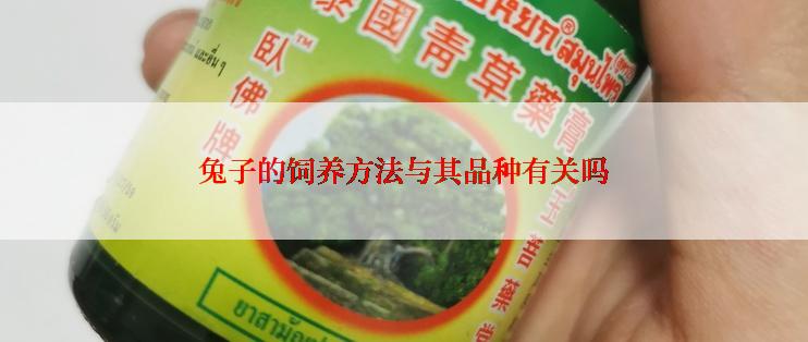 兔子的饲养方法与其品种有关吗