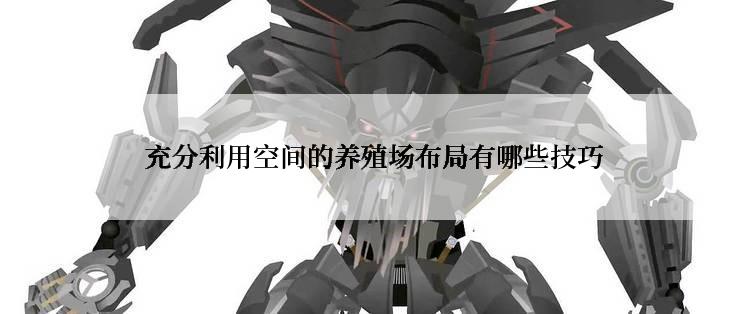  充分利用空间的养殖场布局有哪些技巧