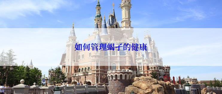 如何管理蝎孑的健康