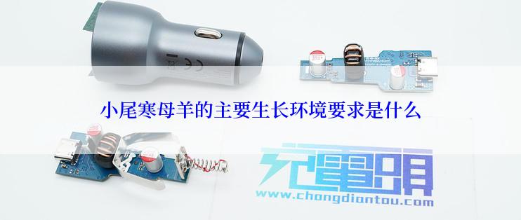 小尾寒母羊的主要生长环境要求是什么