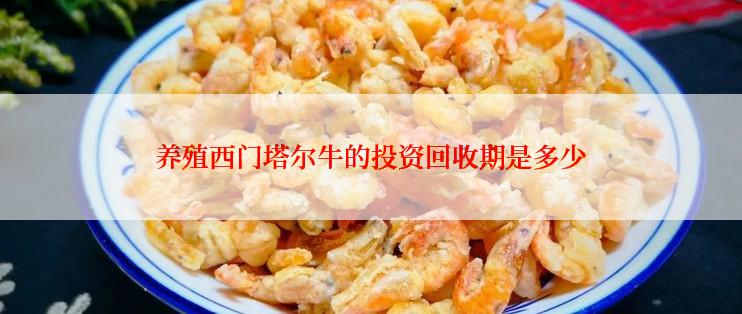 养殖西门塔尔牛的投资回收期是多少