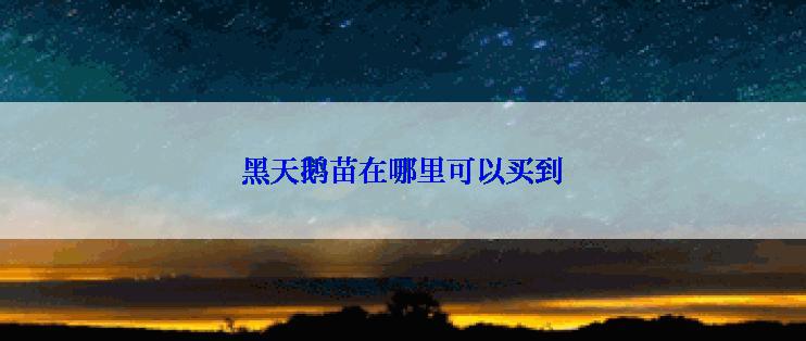黑天鹅苗在哪里可以买到