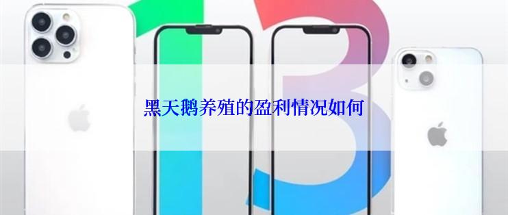 黑天鹅养殖的盈利情况如何