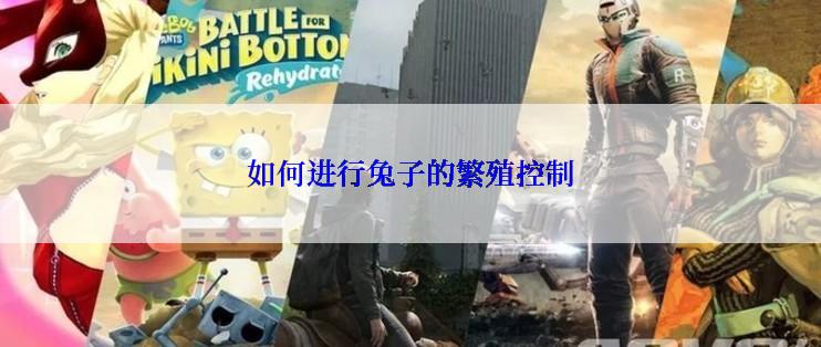 如何进行兔子的繁殖控制