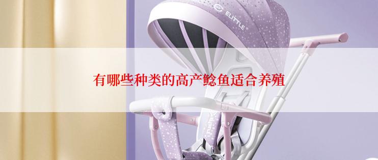 有哪些种类的高产鲶鱼适合养殖