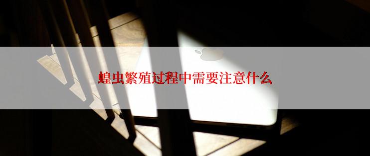 蝗虫繁殖过程中需要注意什么