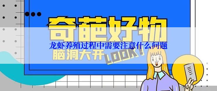 龙虾养殖过程中需要注意什么问题