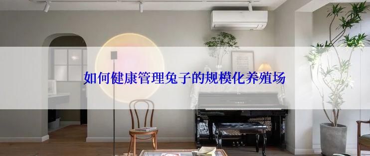 如何健康管理兔子的规模化养殖场