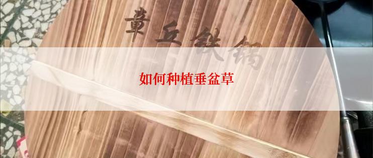 如何种植垂盆草