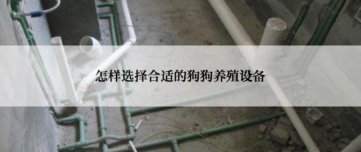 怎样选择合适的狗狗养殖设备