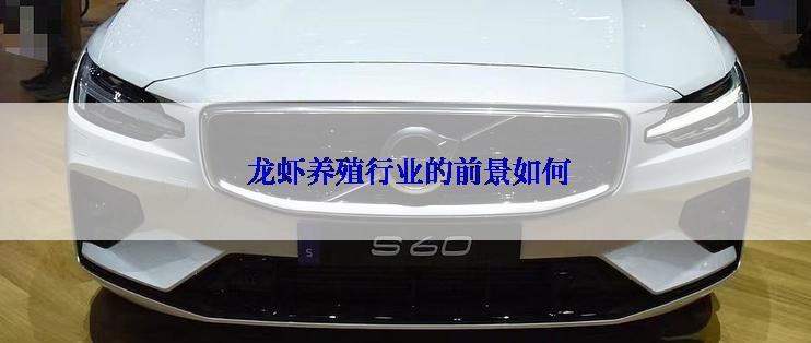  龙虾养殖行业的前景如何