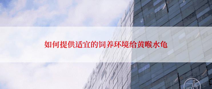 如何提供适宜的饲养环境给黄喉水龟