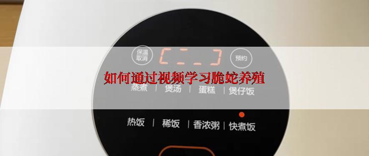 如何通过视频学习脆蛇养殖