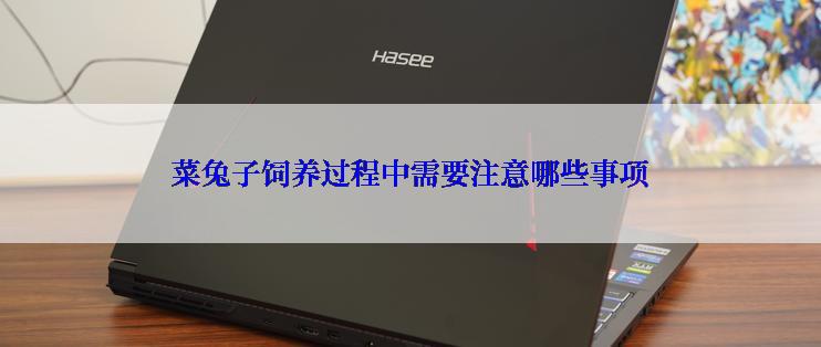 菜兔子饲养过程中需要注意哪些事项