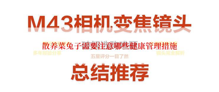 散养菜兔子需要注意哪些健康管理措施