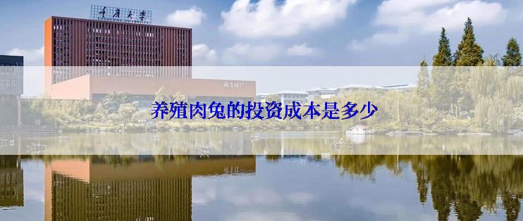  养殖肉兔的投资成本是多少
