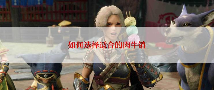 如何选择适合的肉牛销