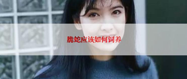  脆蛇应该如何饲养