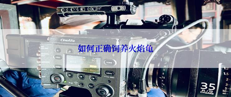 如何正确饲养火焰龟