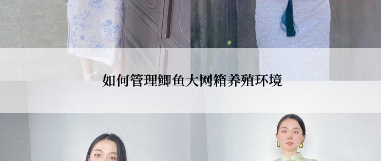  如何管理鲫鱼大网箱养殖环境