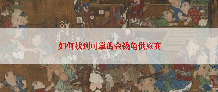  如何找到可靠的金钱龟供应商
