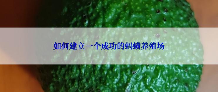 如何建立一个成功的蚂蟥养殖场