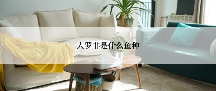 大罗非是什么鱼种