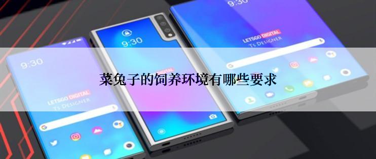 菜兔子的饲养环境有哪些要求