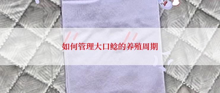 如何管理大口鲶的养殖周期