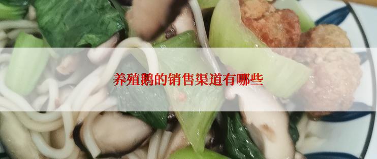 养殖鹅的销售渠道有哪些
