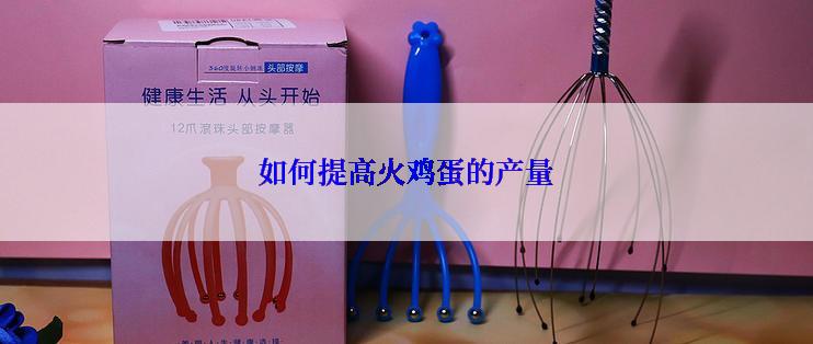 如何提高火鸡蛋的产量