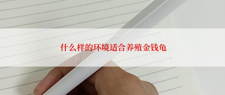  什么样的环境适合养殖金钱龟