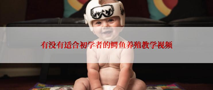 有没有适合初学者的鳄鱼养殖教学视频