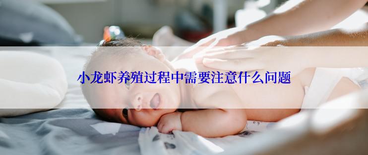 小龙虾养殖过程中需要注意什么问题