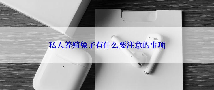 私人养殖兔子有什么要注意的事项