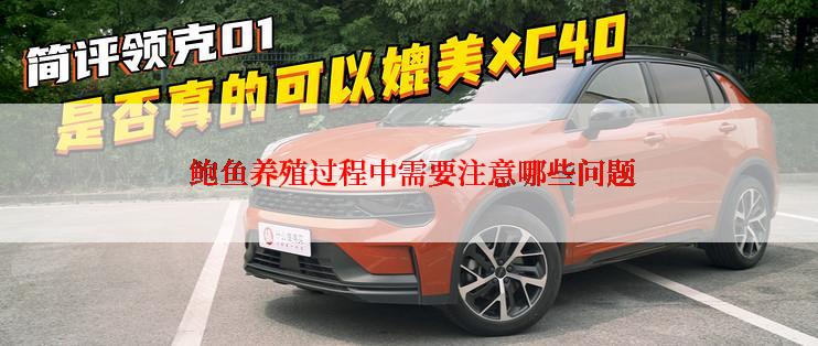  鲍鱼养殖过程中需要注意哪些问题