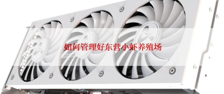  如何管理好东营小虾养殖场