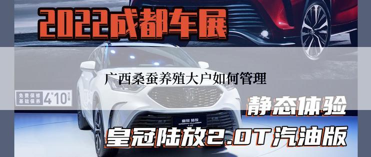 广西桑蚕养殖大户如何管理