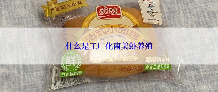 什么是工厂化南美虾养殖