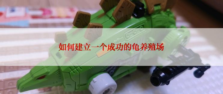 如何建立一个成功的龟养殖场