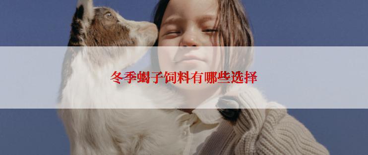 冬季蝎子饲料有哪些选择