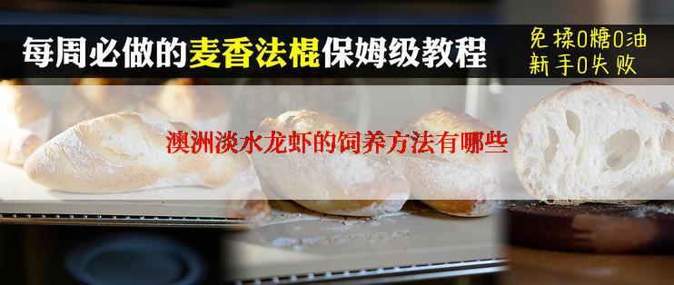 澳洲淡水龙虾的饲养方法有哪些