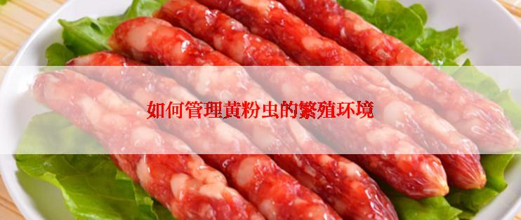 如何管理黄粉虫的繁殖环境
