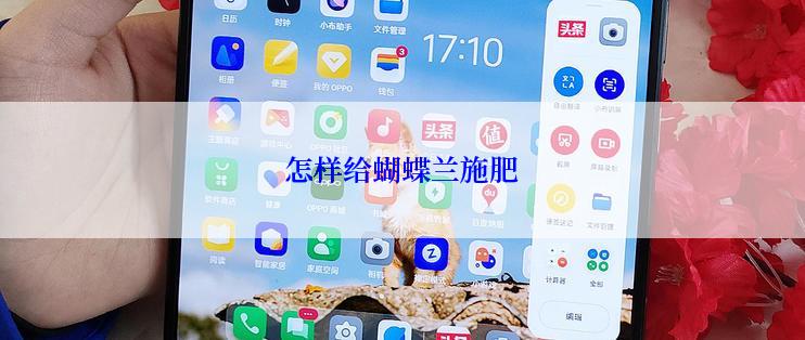 怎样给蝴蝶兰施肥