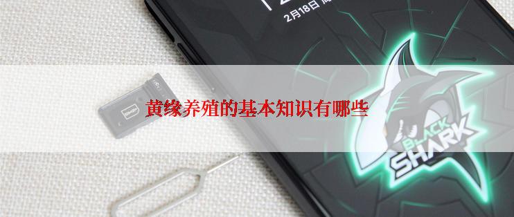 黄缘养殖的基本知识有哪些